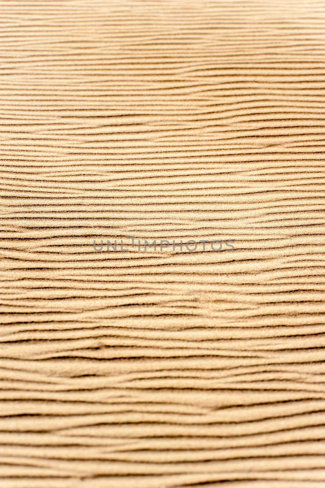 background from sand waves selective focus