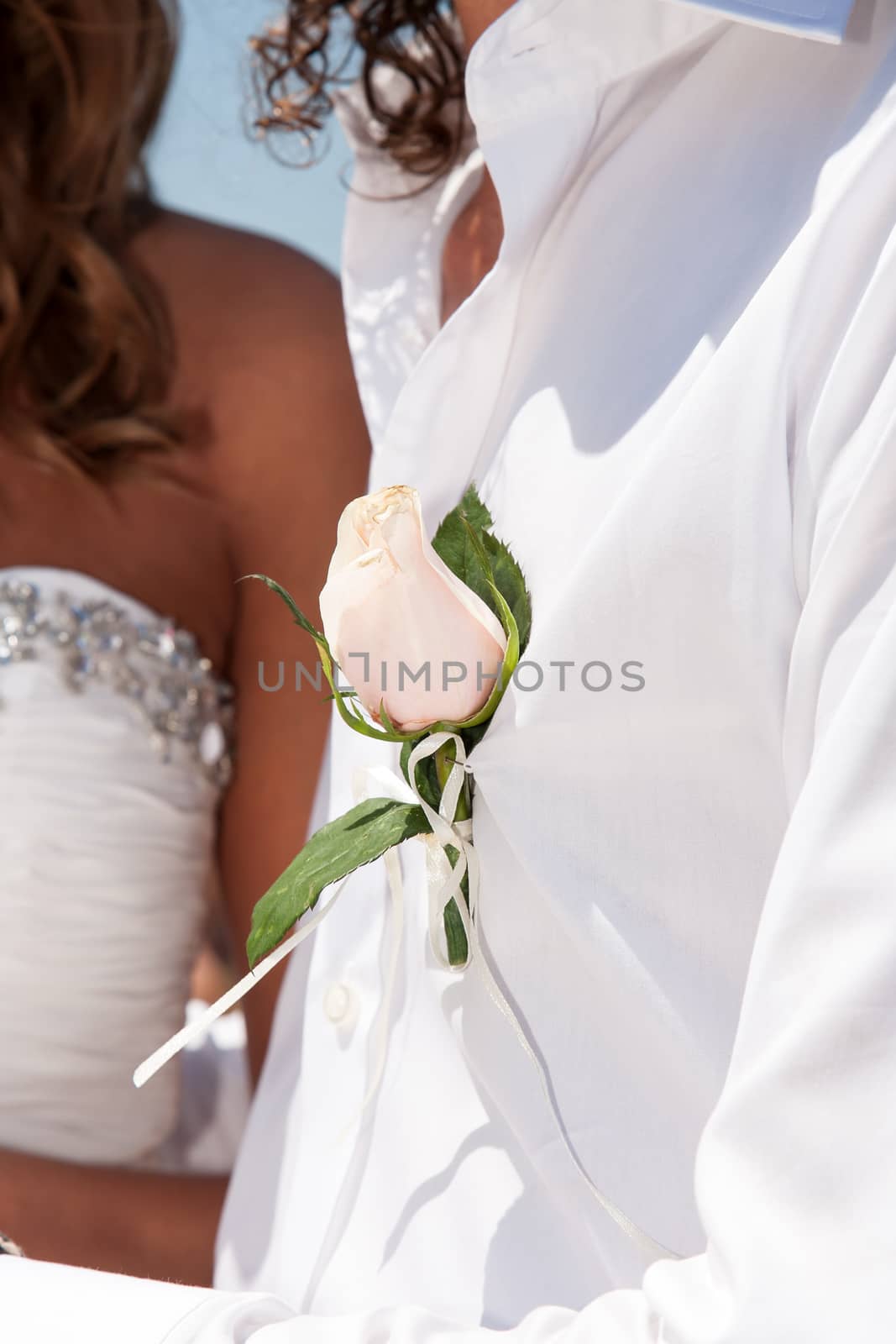 close up of a rose on a groom's shirt at the wedding