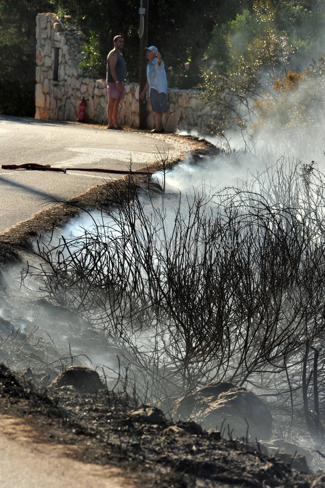 ZAKYNTHOS GREECE JULY 3: Fire at makris gialos small forest close to the sea low scale fire on July 03 2013 in Zakynthos,Greece