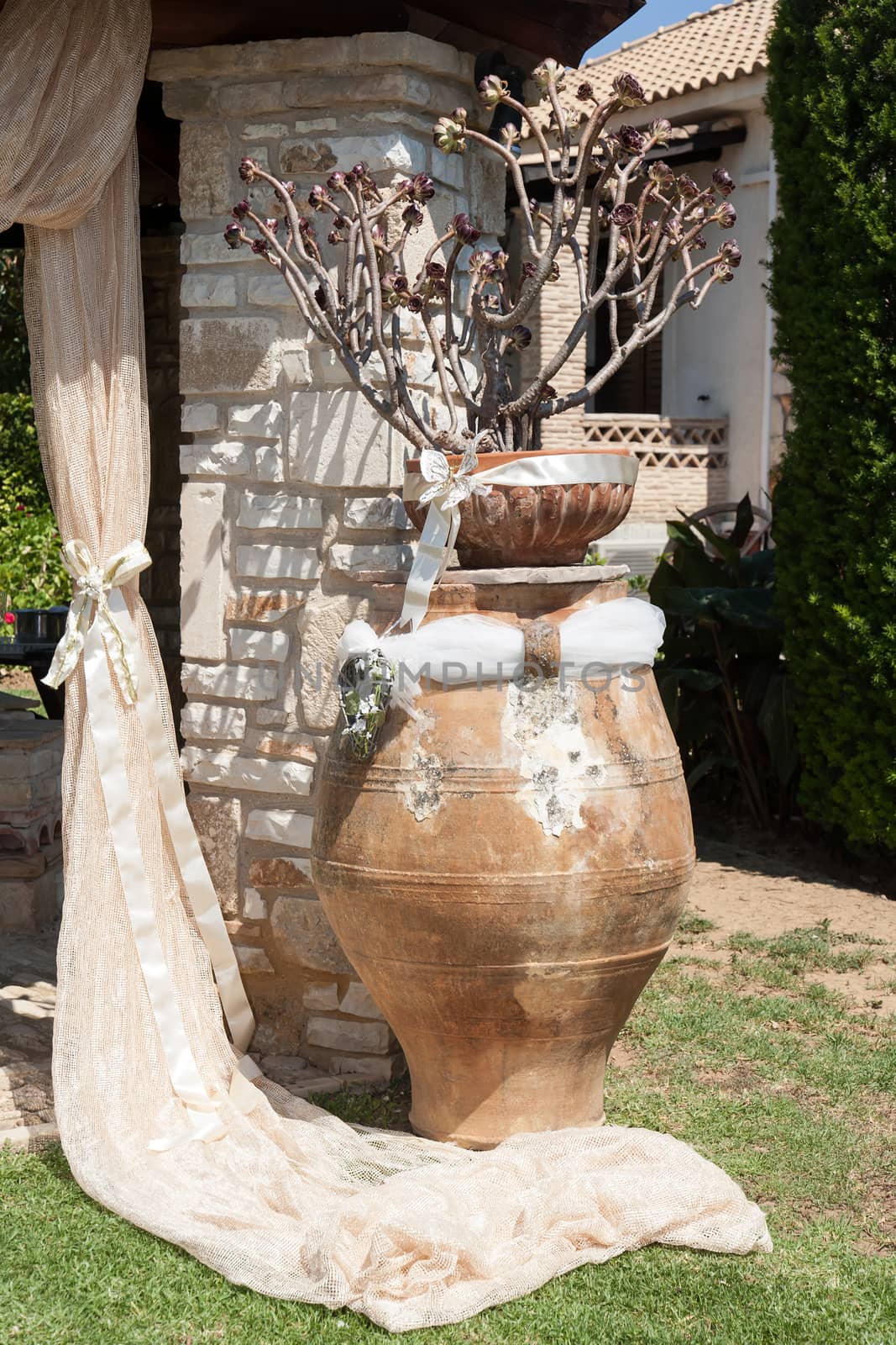 beautiful decoration of a garden for the wedding day