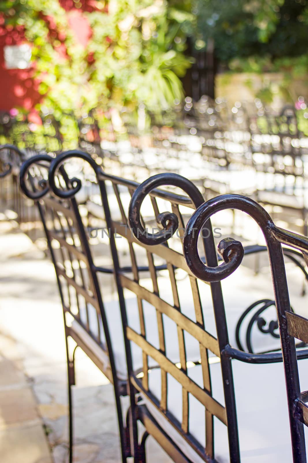 closeup of metal chair in a garden