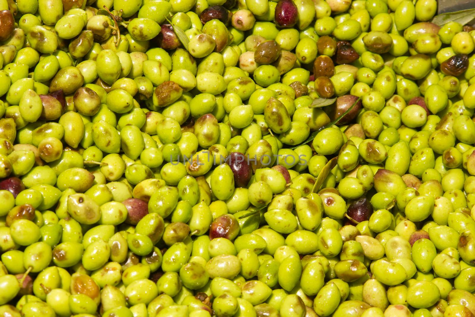 closeup of olives in a olive oil machine  by smoxx