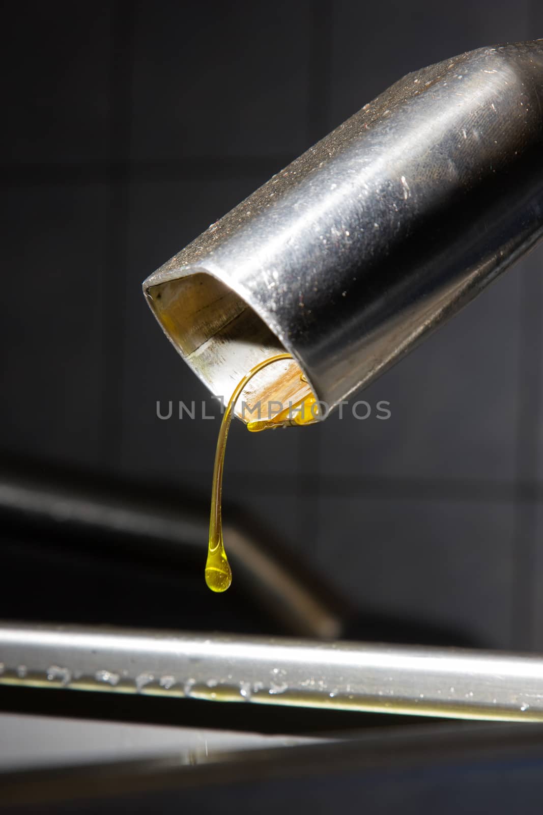 Olive oil poor fall out an modern oil mill