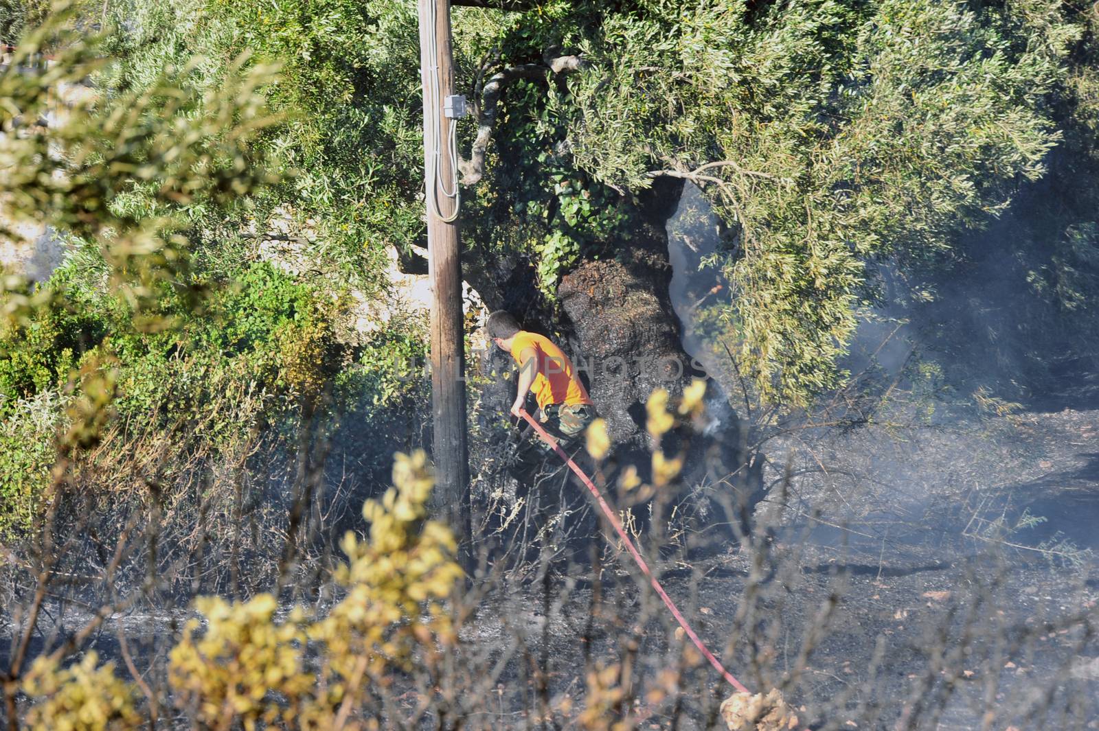 ZAKYNTHOS GREECE JULY 3: Fire department in action at makris gialos small forest close to the sea low scale fire on July 03 2013 in Zakynthos,Greece