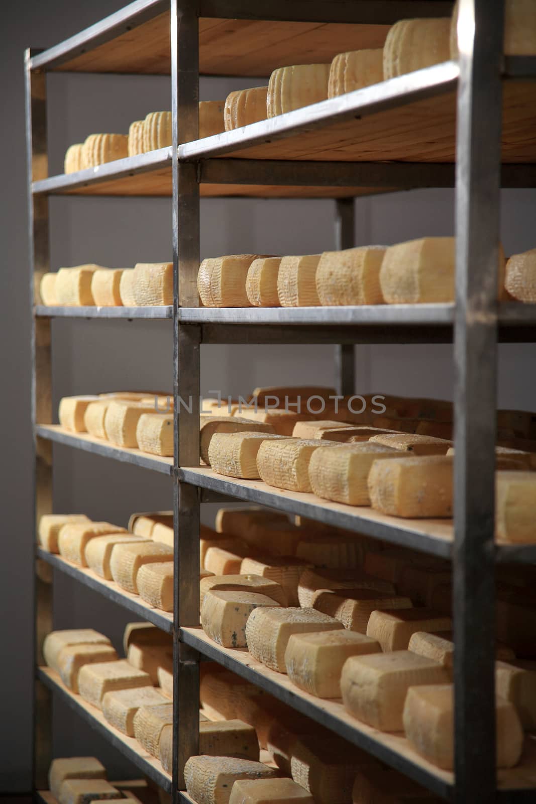 view of a maturing storehouse of cheese