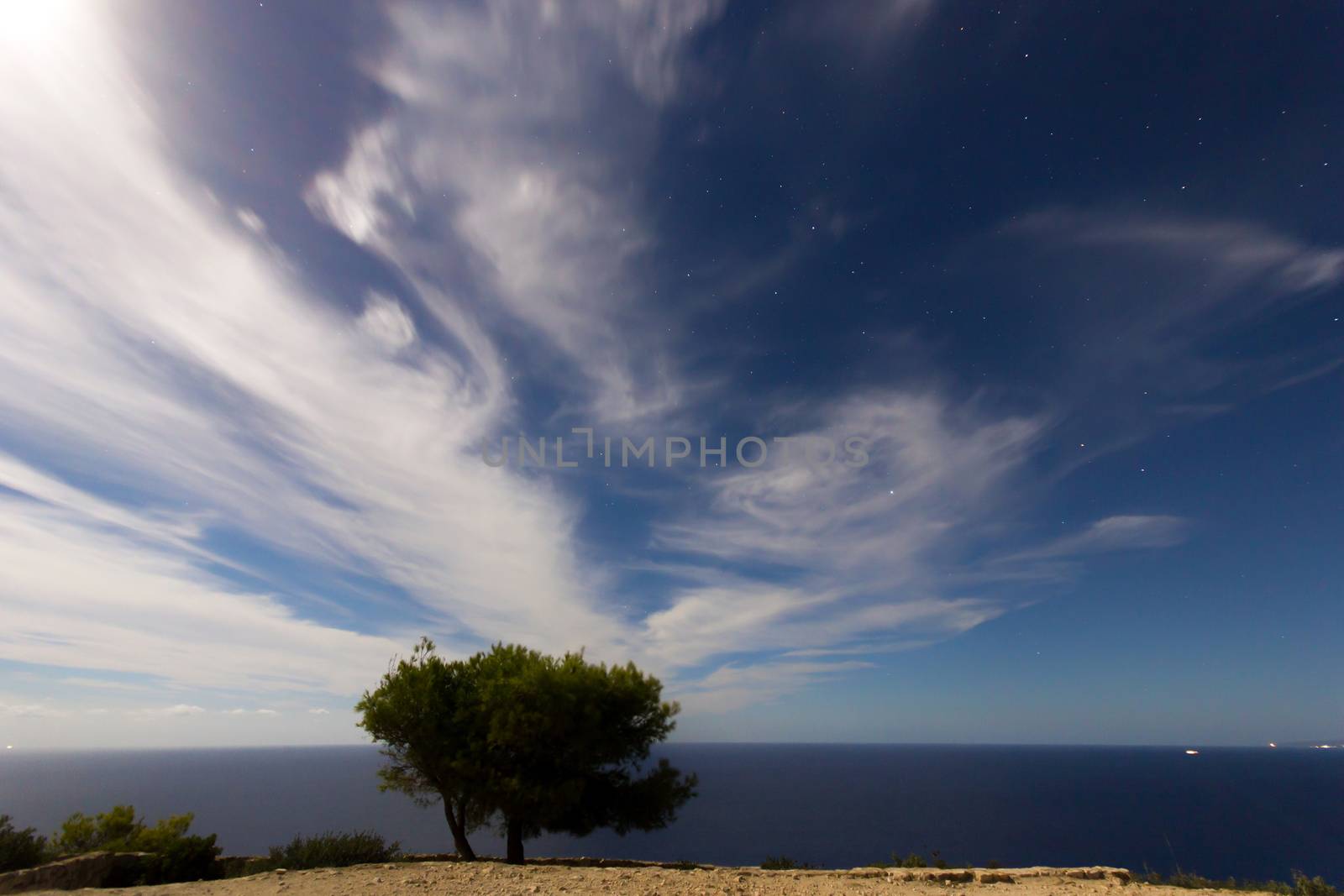 landscape at night with a tree and clouds at a full moon night