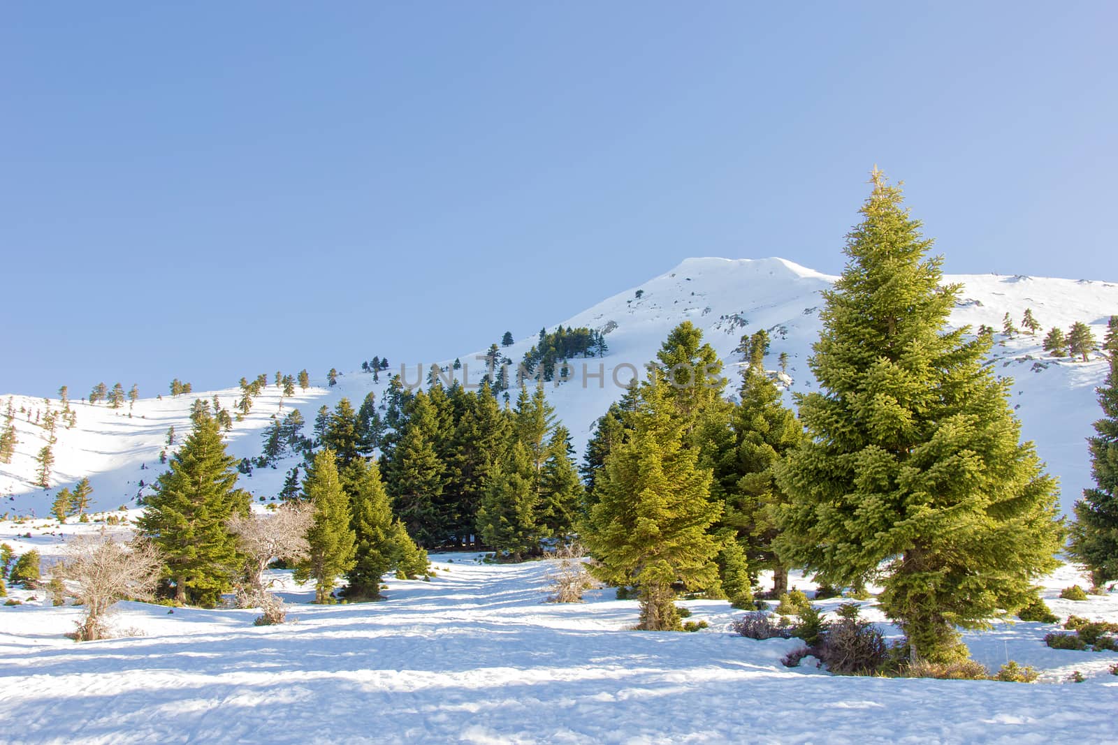 top of the mountain with snow on a sunny day