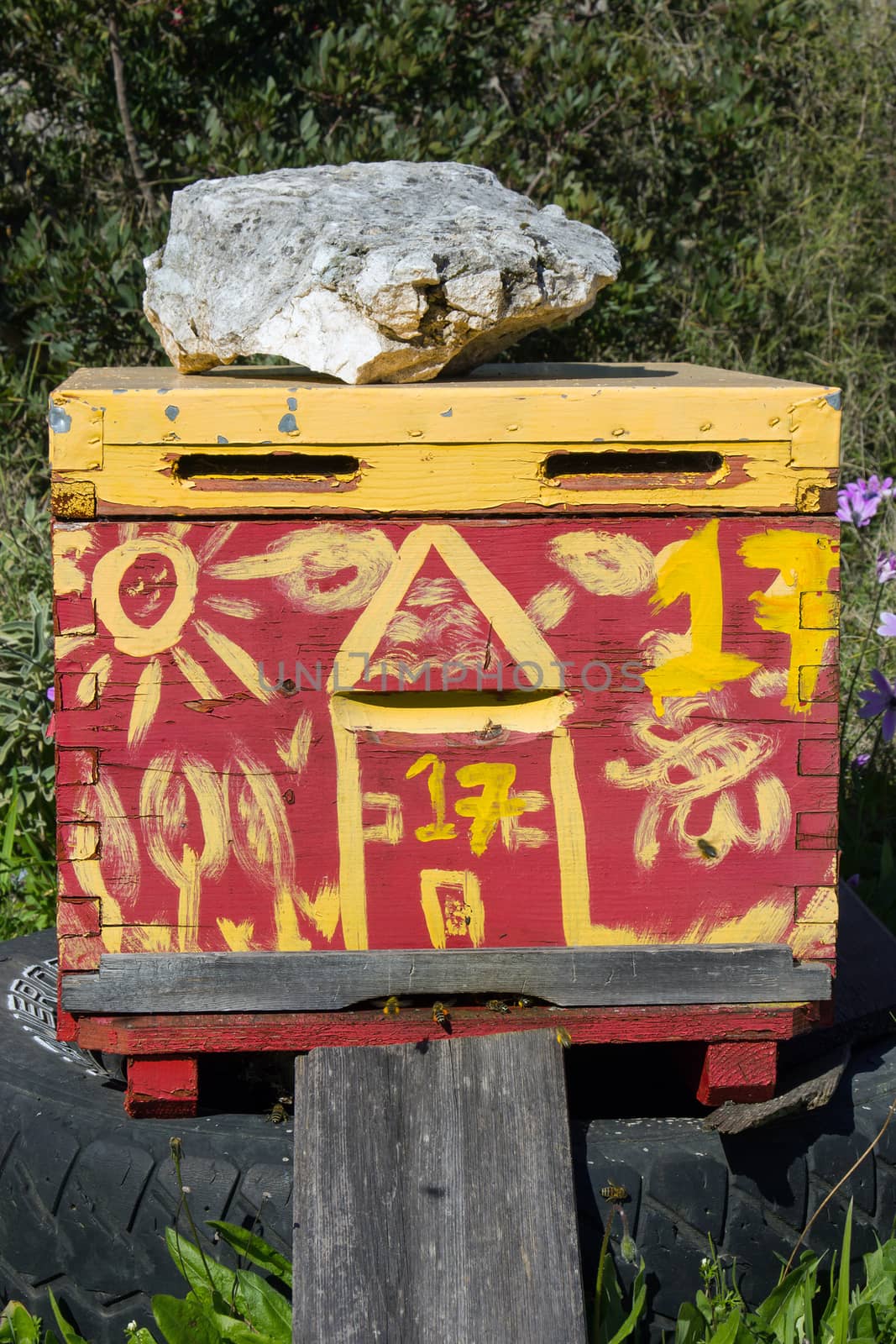 Colorful hives and bees in the nature 