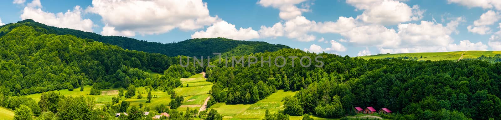 panorama of mountainous rural area in summer. beautiful landscape of the forested hill and village in the valley. agricultural fields on grassy slopes under the cloudy sky