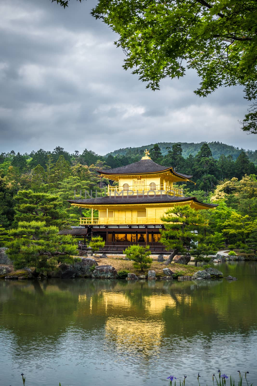 Kinkaku-ji golden temple pavilion in Kyoto, Japan