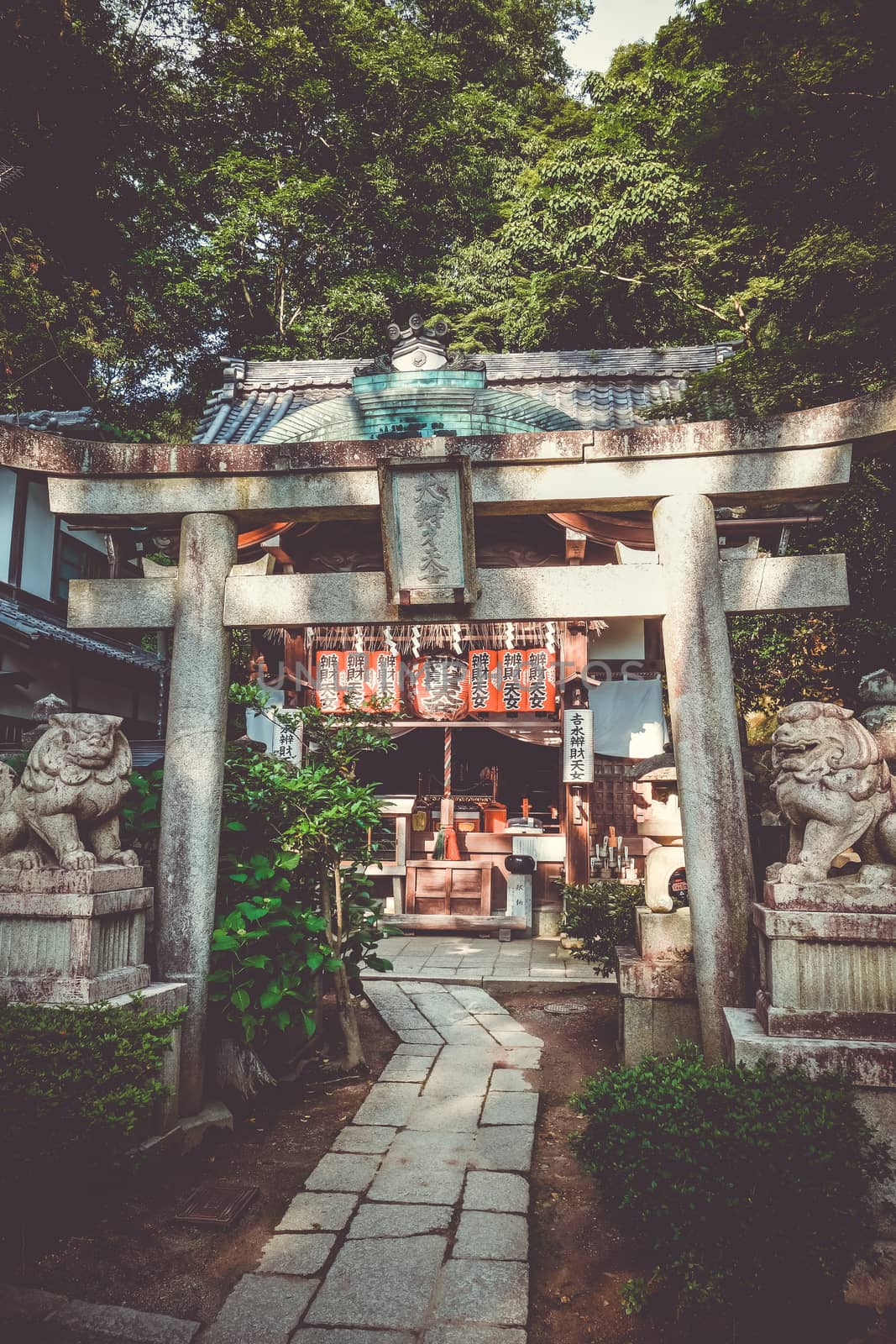 Chion-in temple garden, Kyoto, Japan by daboost