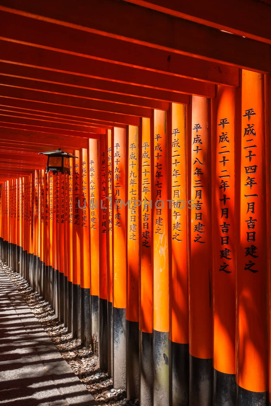 Traditional lantern in Fushimi Inari Taisha shrine, Kyoto, Japan