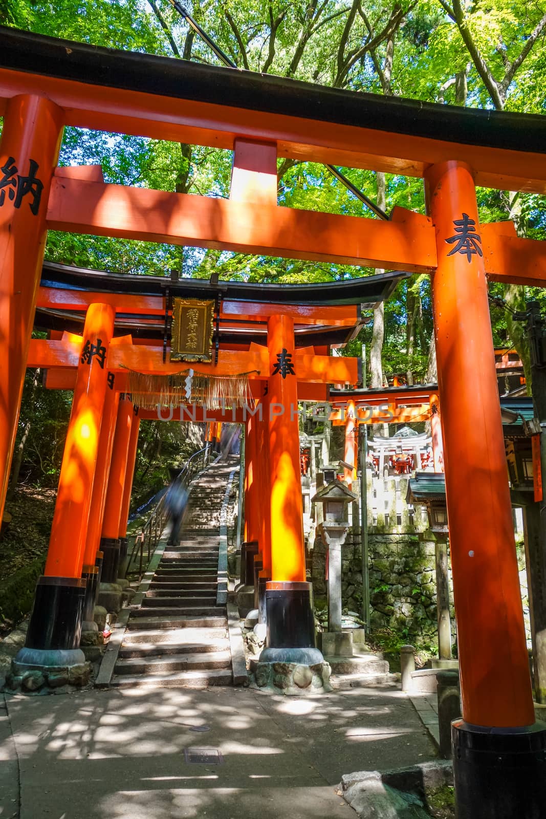 Fushimi Inari Taisha torii shrine, Kyoto, Japan