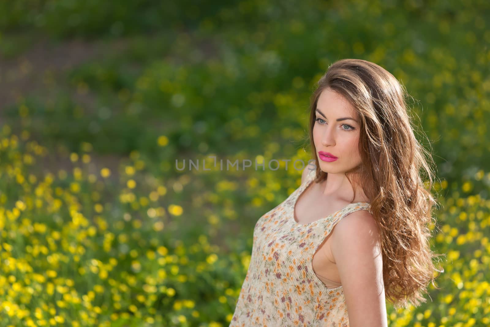 portrait of a beautiful young girl among yellow flowers in the nature