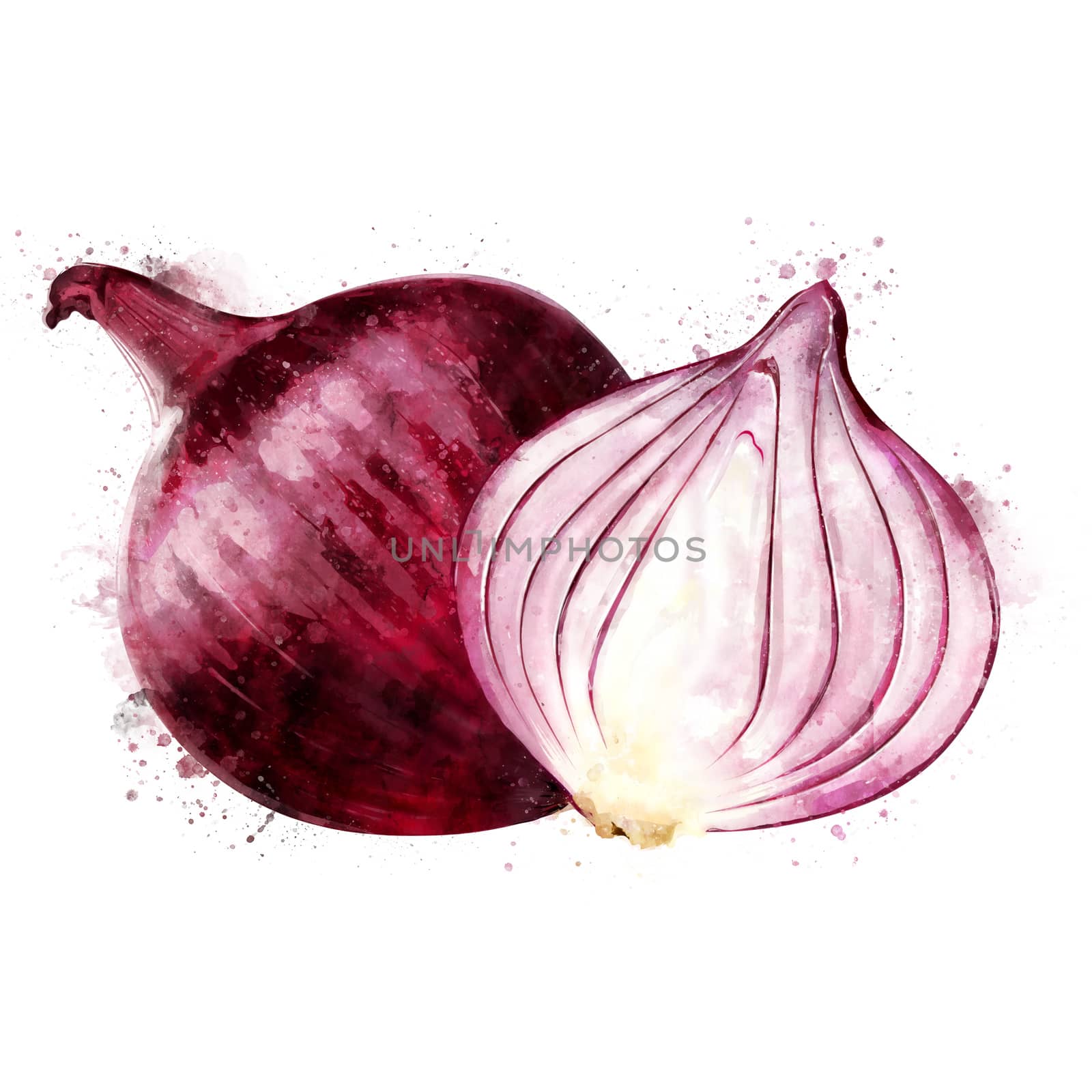 Red Onion on white background. Watercolor illustration by ConceptCafe