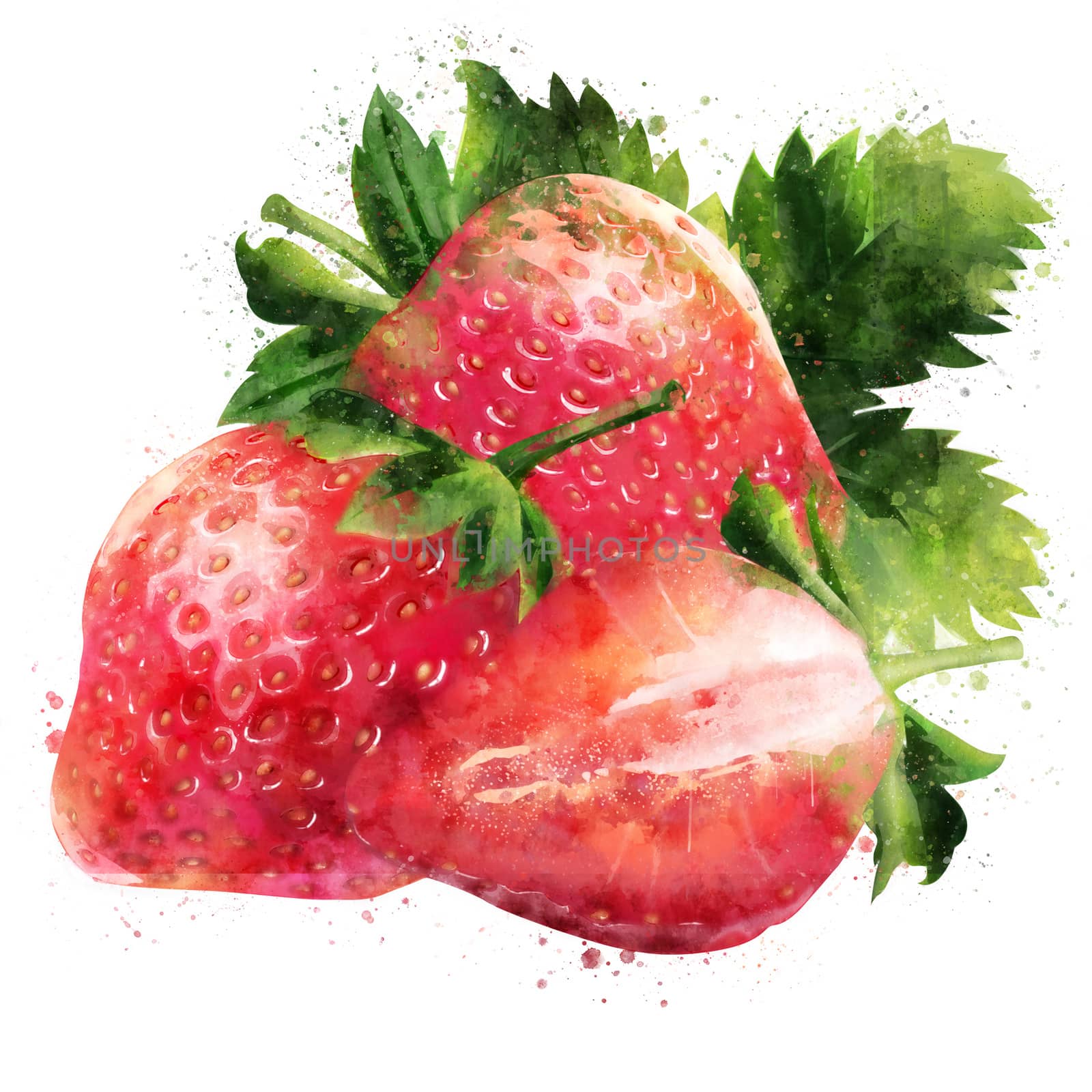 Strawberry on white background. Watercolor illustration by ConceptCafe