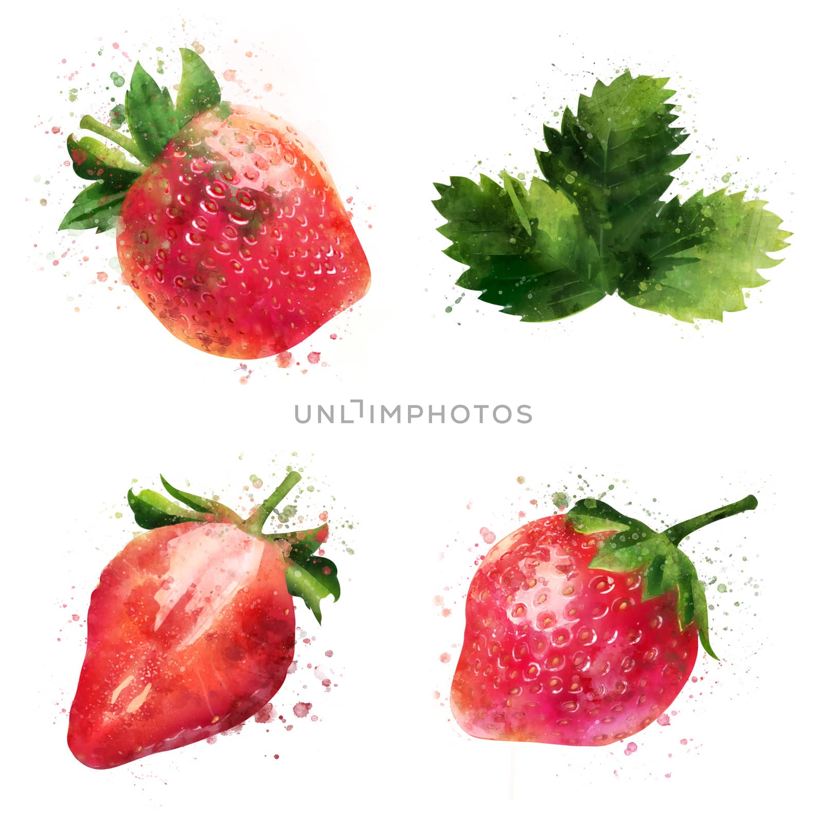 Strawberry on white background. Watercolor illustration by ConceptCafe