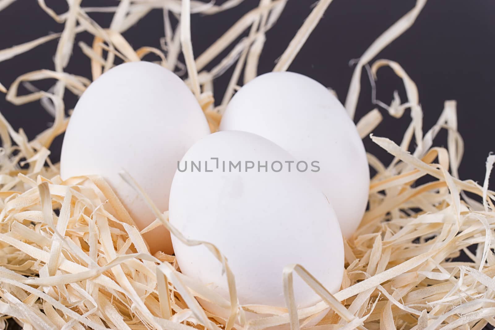 A lot of white chicken eggs in a bunch