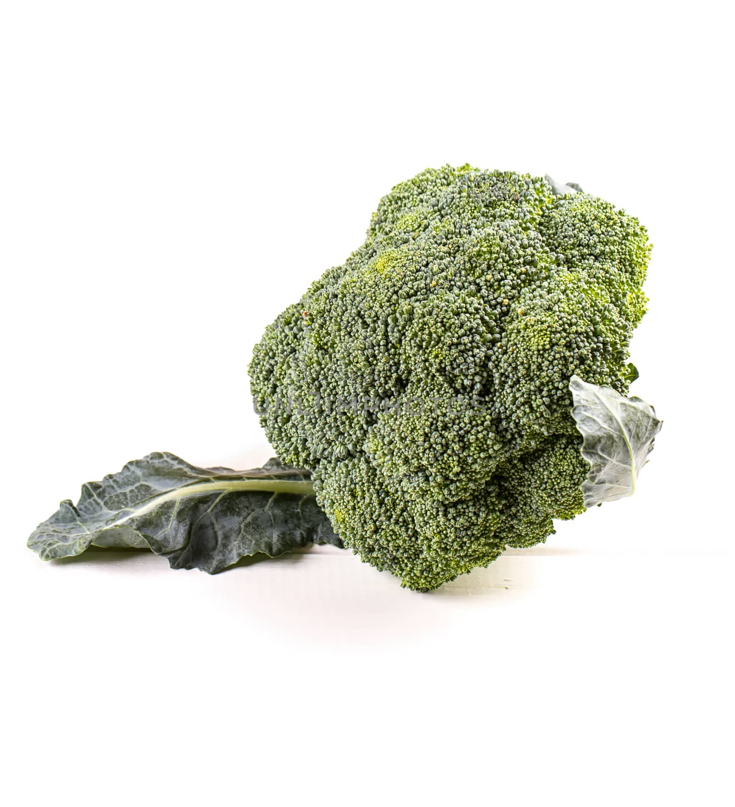 Fresh broccoli on white wooden table background