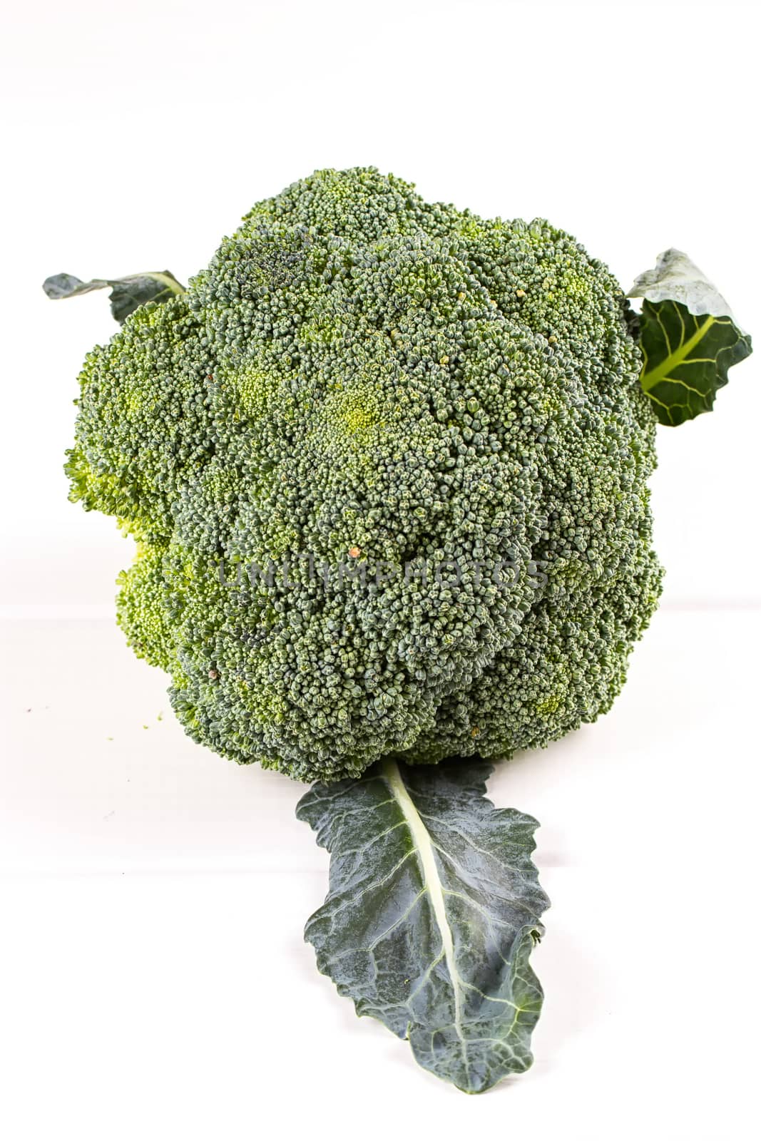 a Fresh broccoli by victosha