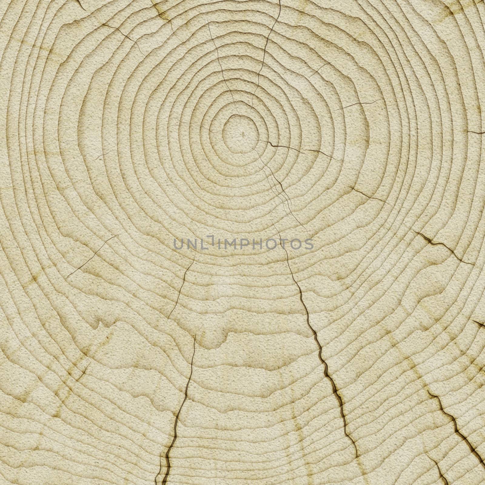 Illustration of a nice wooden background texture