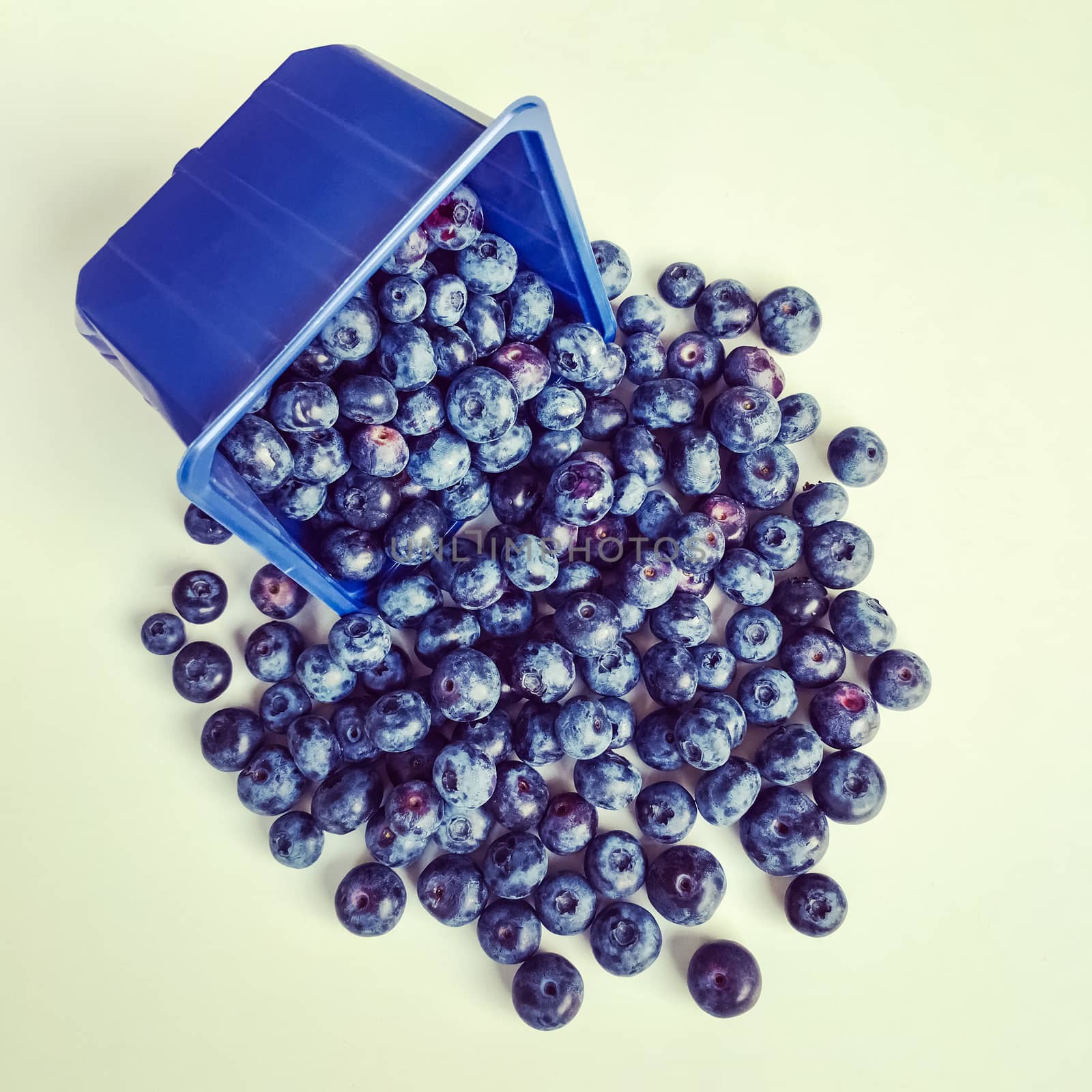 Box of ripe blueberries by anikasalsera