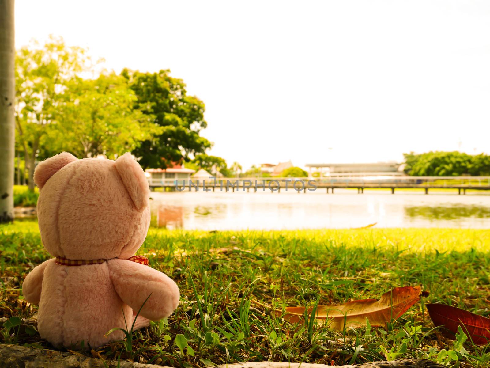 Vintage pink bear doll sit and relax in park