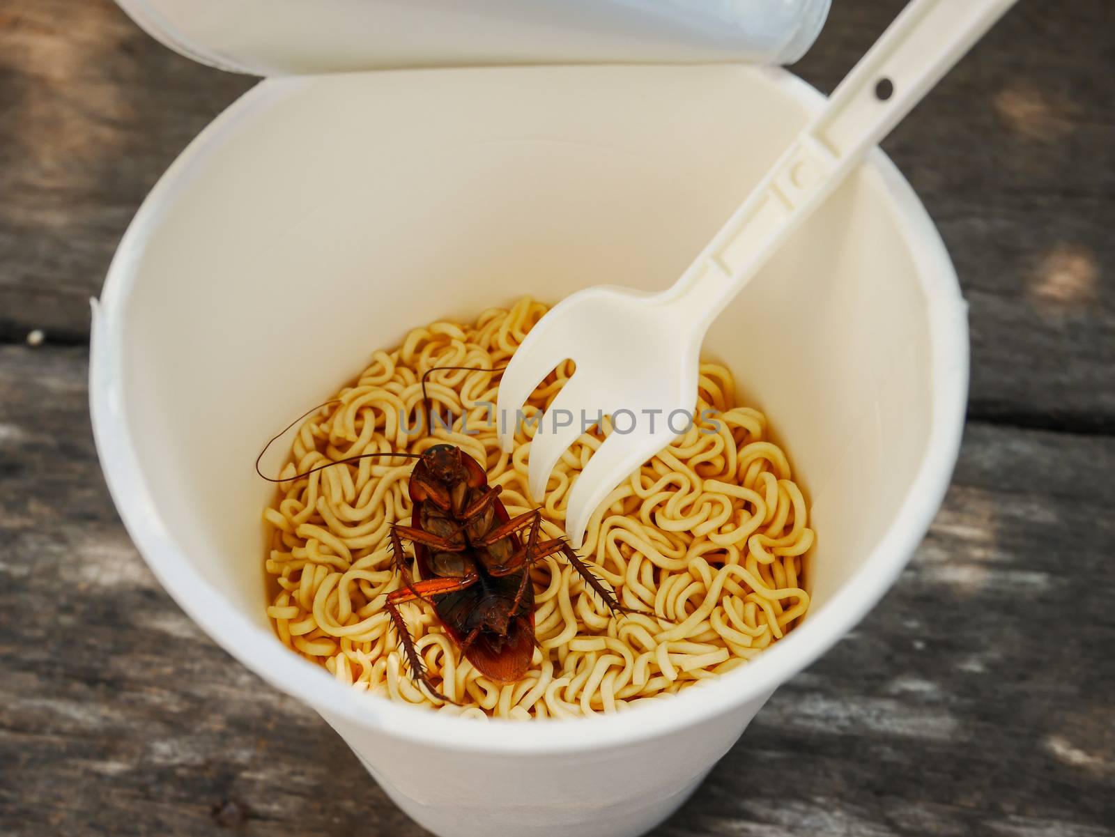 On cockroach dead in noodle cup