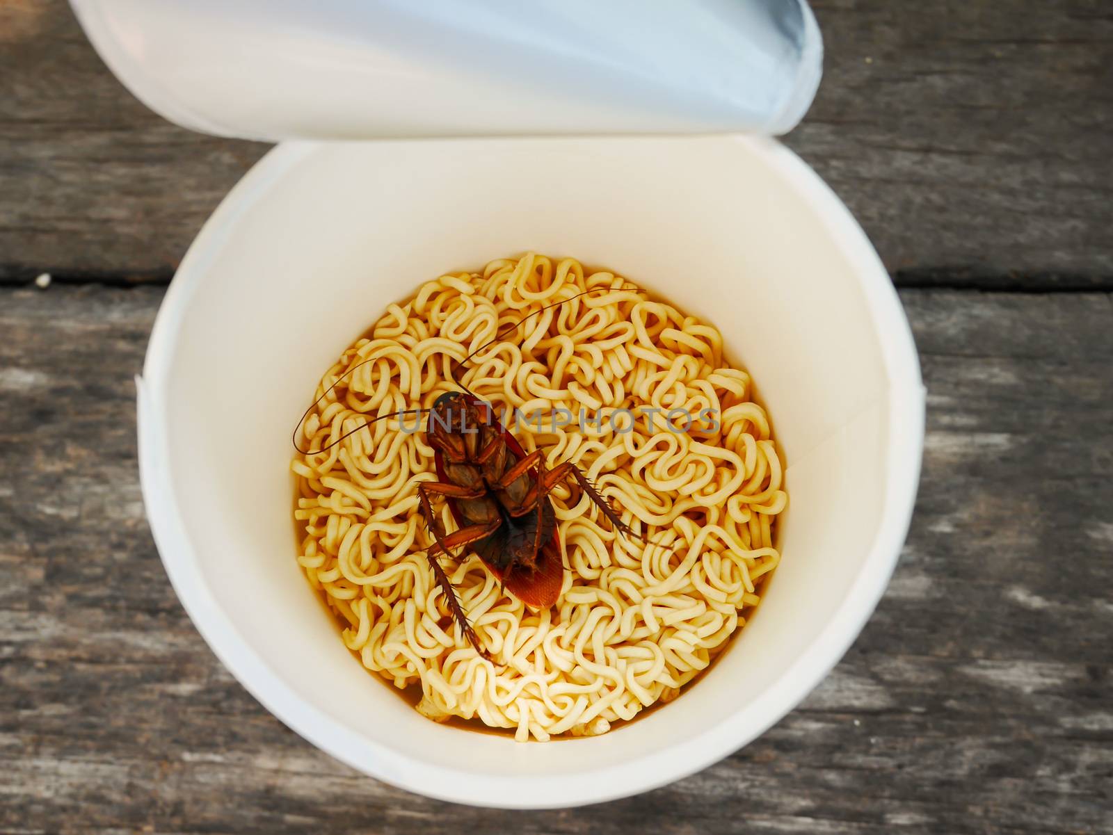 Cockroach want to eat noodle cup