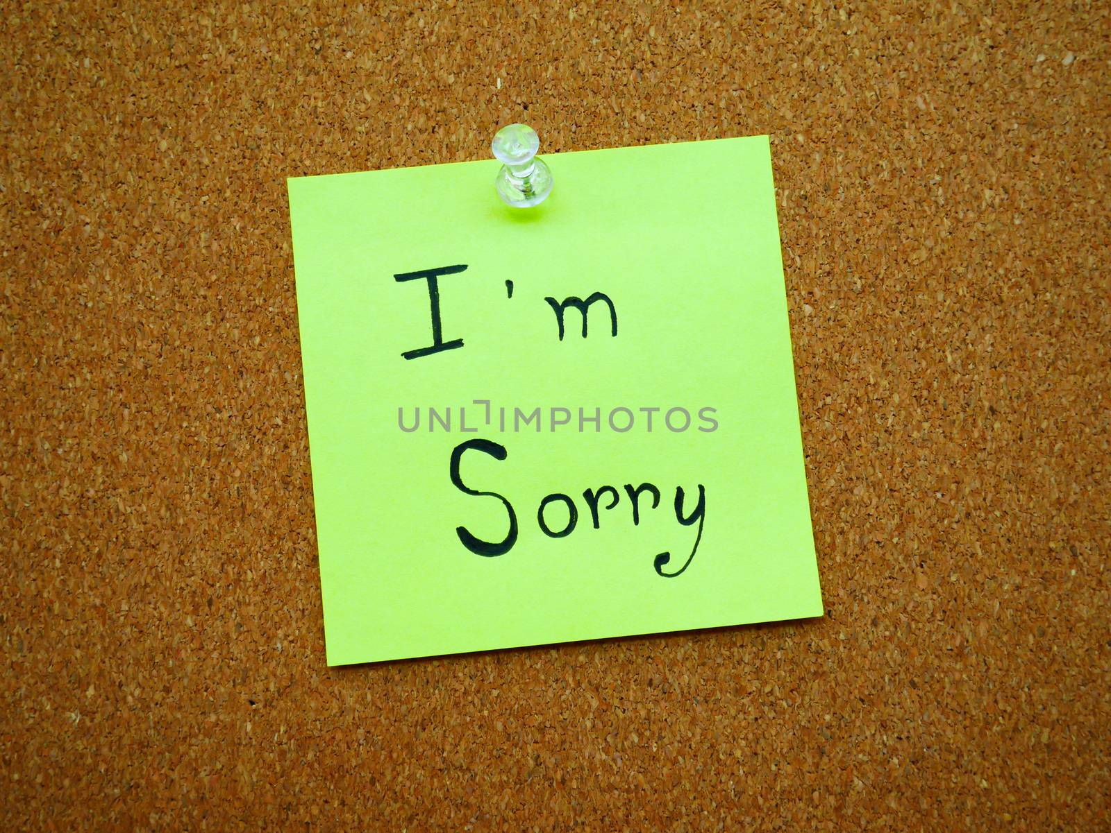 I'm sorry in green post note on wooden board