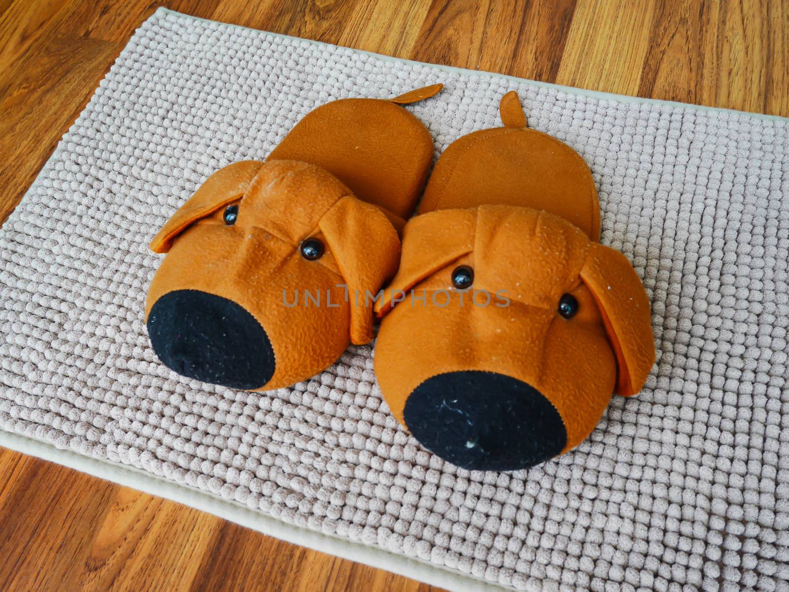 Brown dog slipper on carpet 