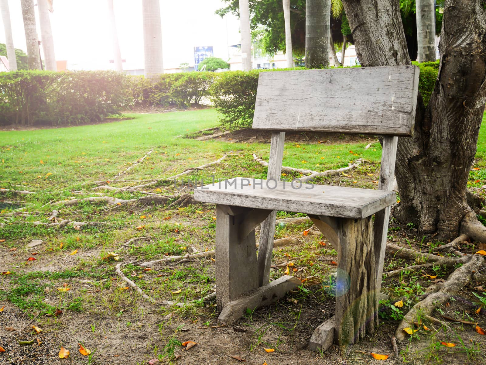 Old wood bench in park with light flare with copy space 