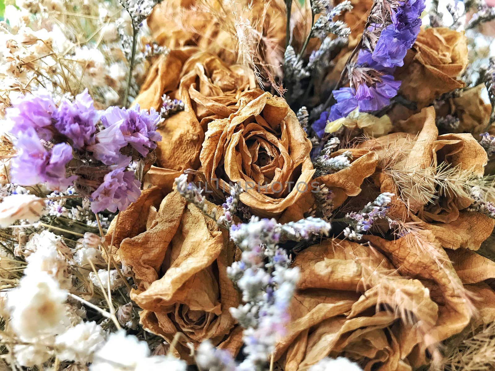 Close up dry flower bouquet background pattern