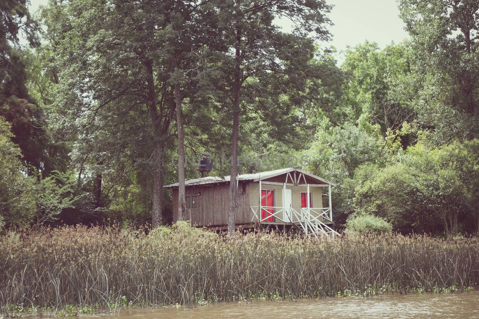 Old shed on the Tigre river Delta. Buenos Aires by daboost