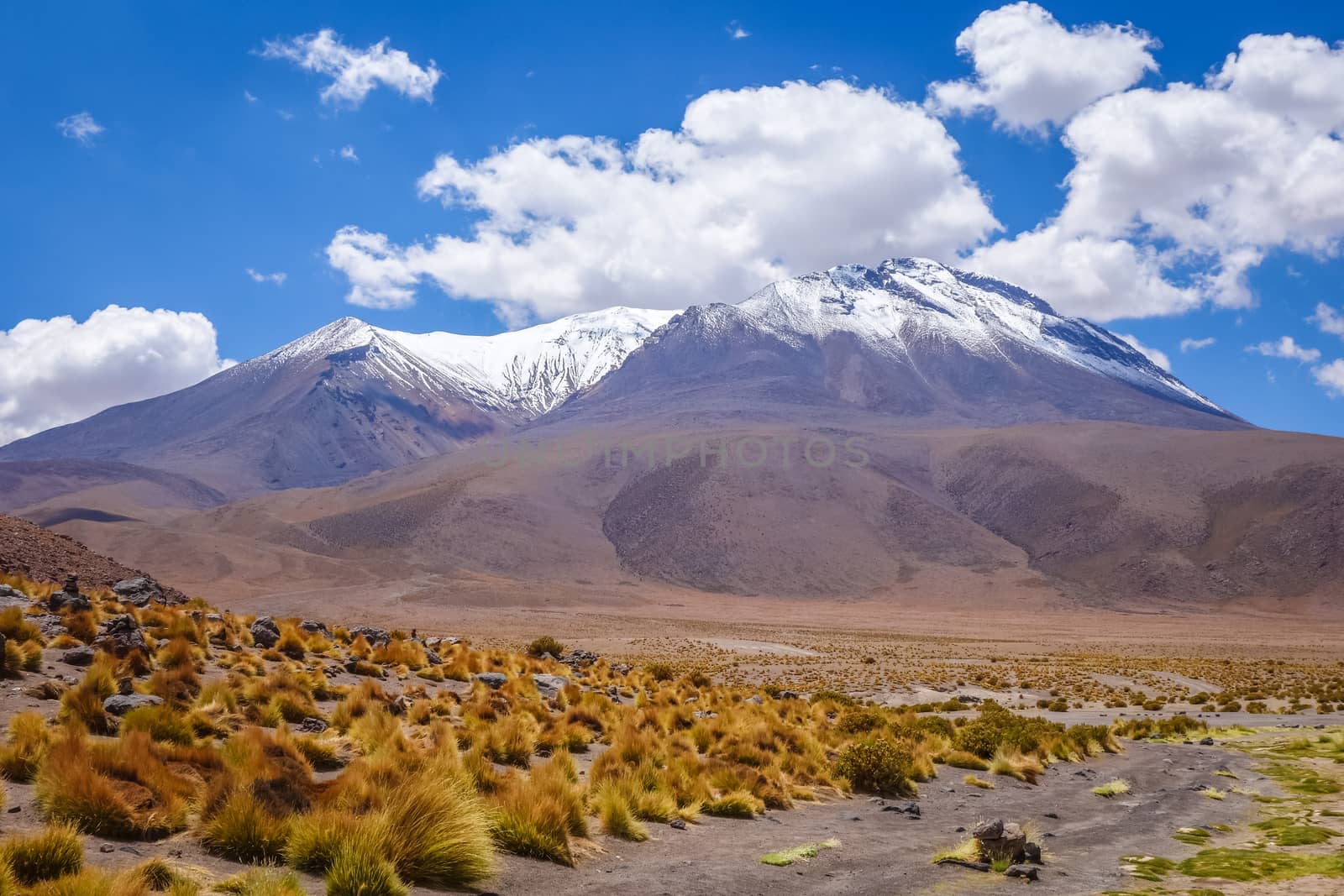 Altiplano mountains in sud Lipez reserva Eduardo Avaroa, Bolivia