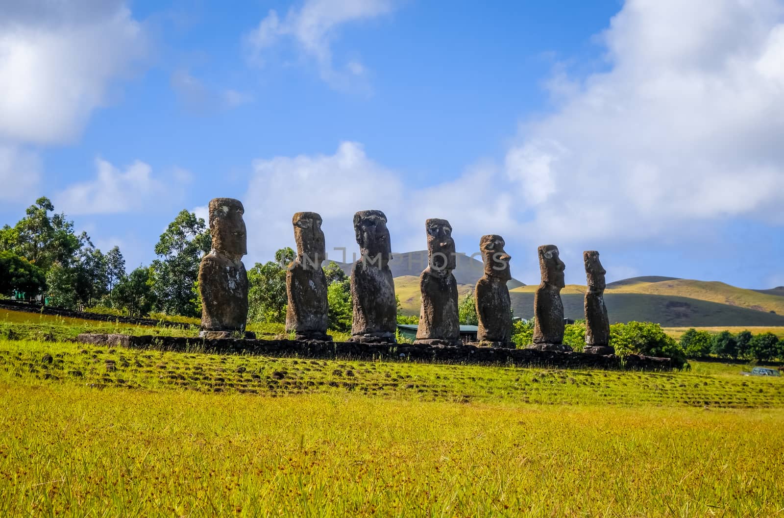 Moais statues, ahu Akivi, easter island by daboost