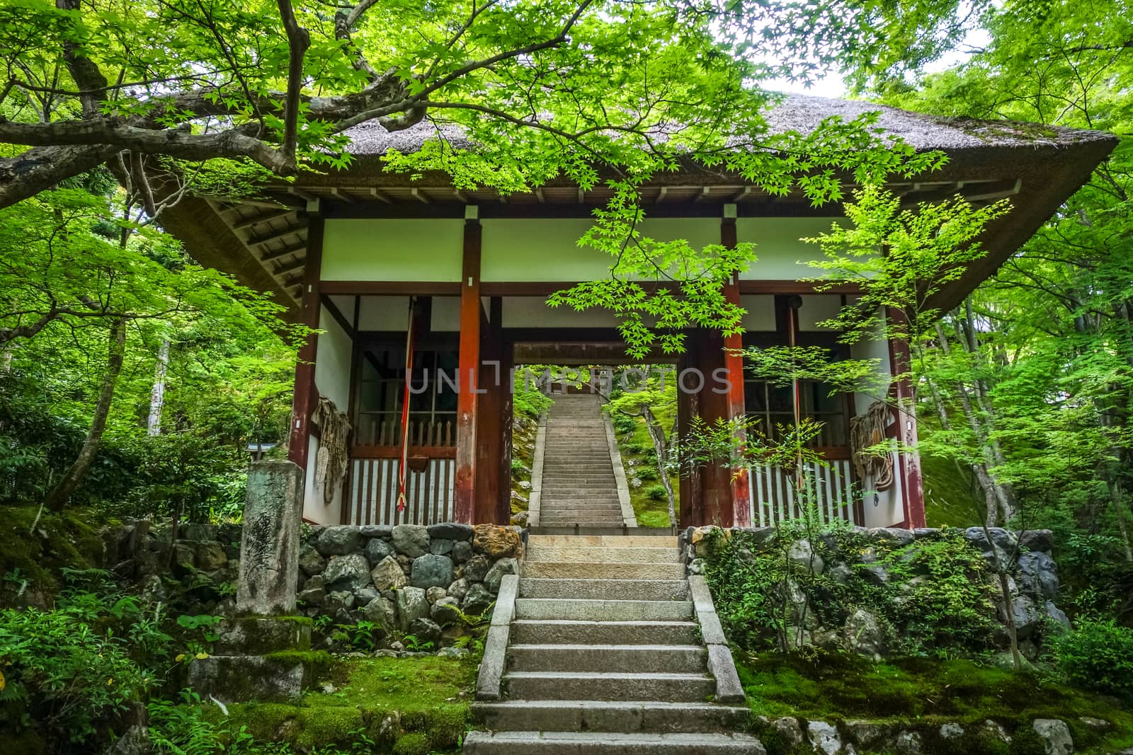 Jojakko-ji temple, Kyoto, Japan by daboost