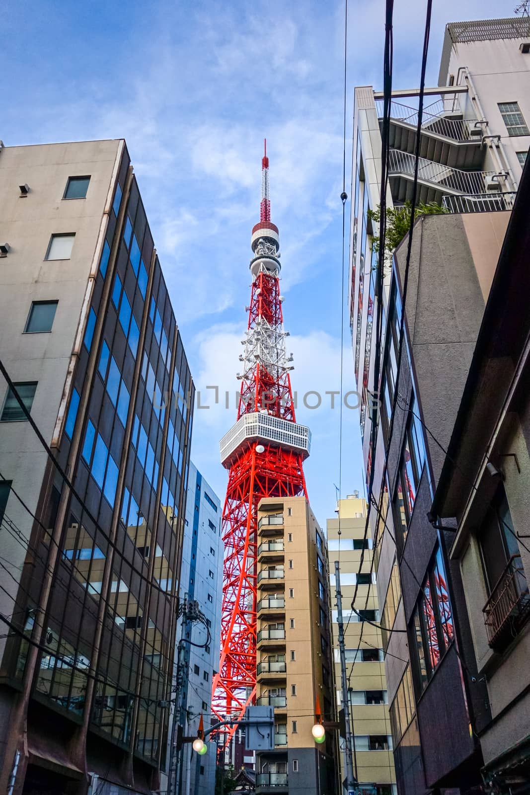 Tokyo tower and buildings view from the street, Japan
