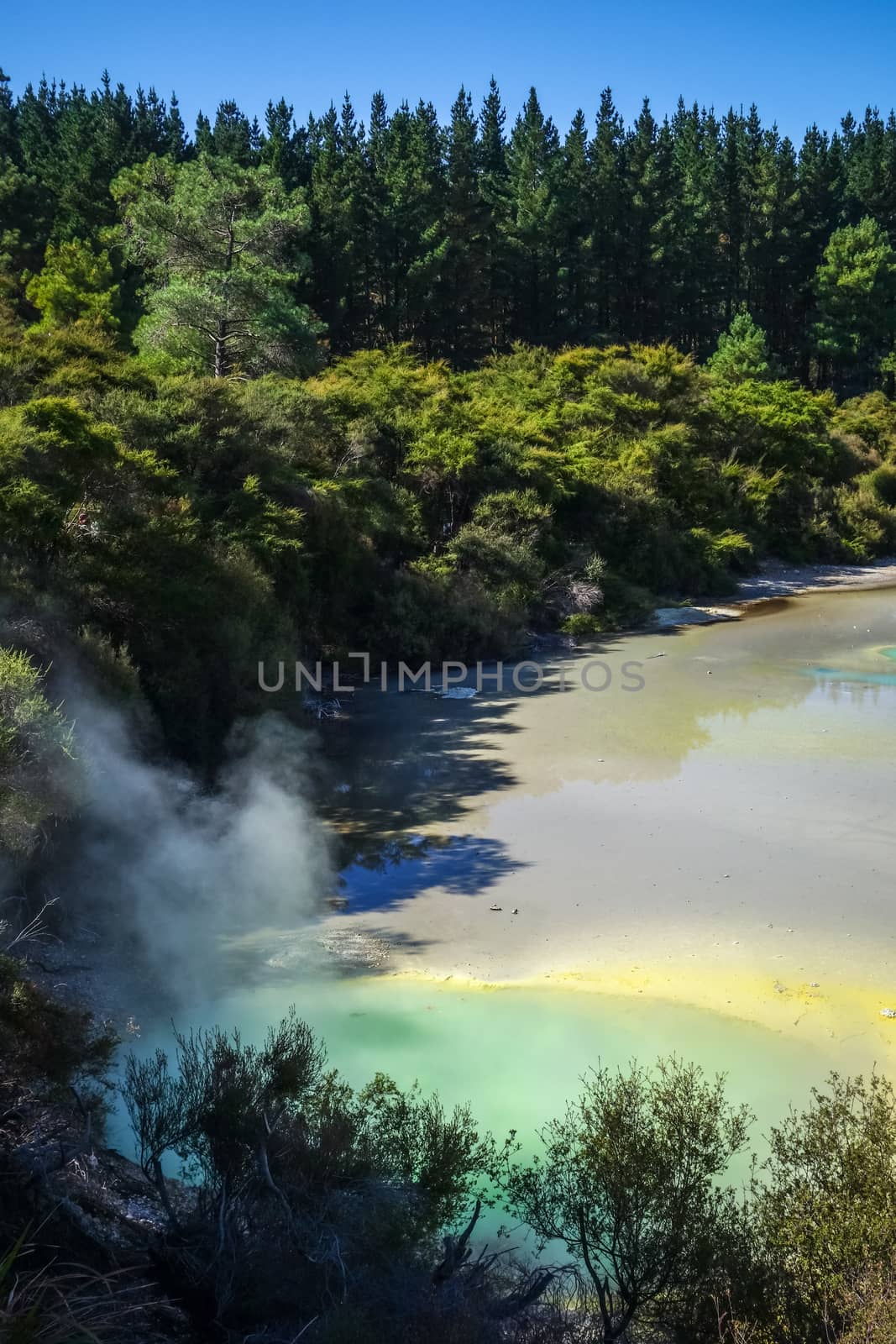 Green lake in Waiotapu, Rotorua, New Zealand by daboost