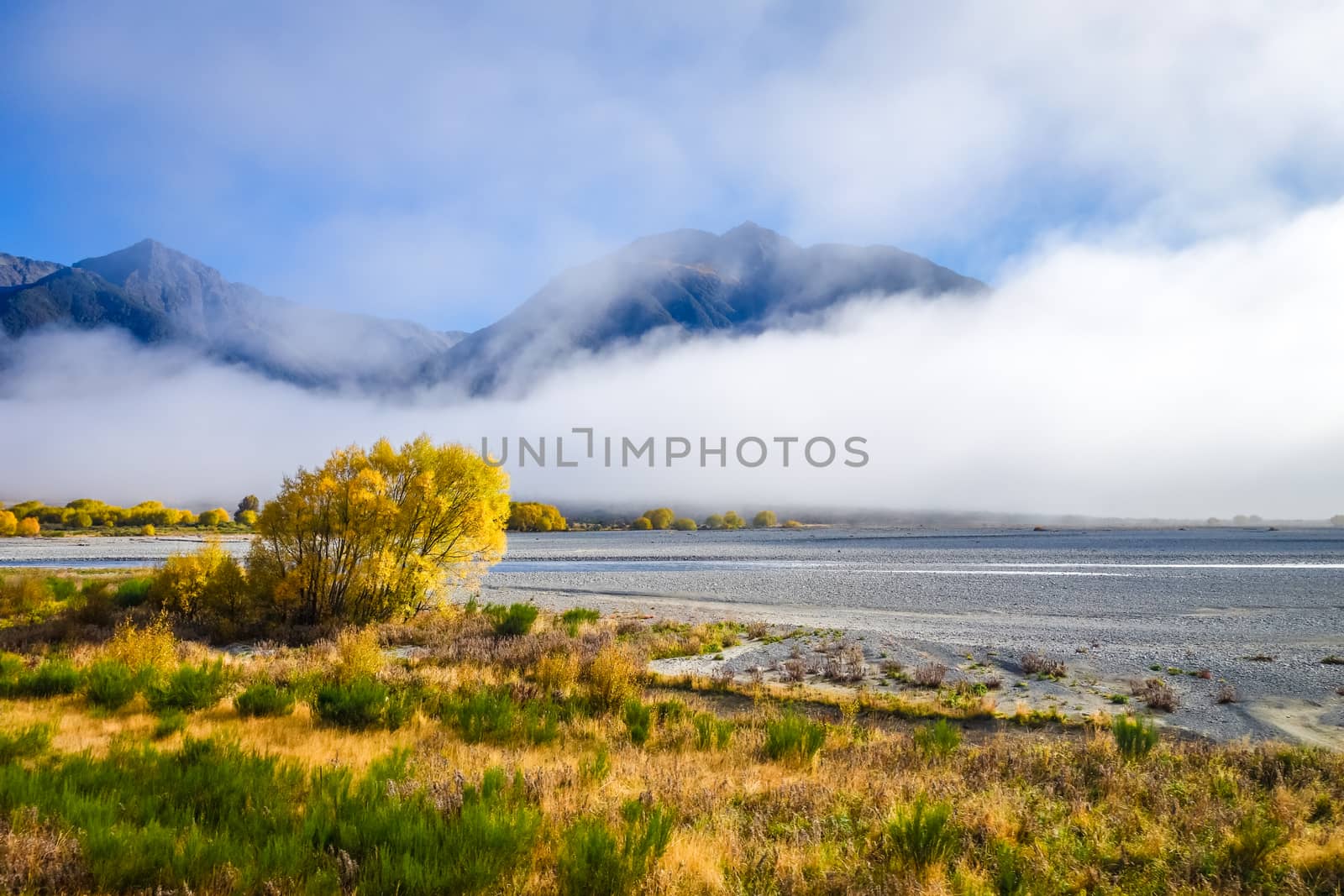 Yellow forest and river in New Zealand Alps