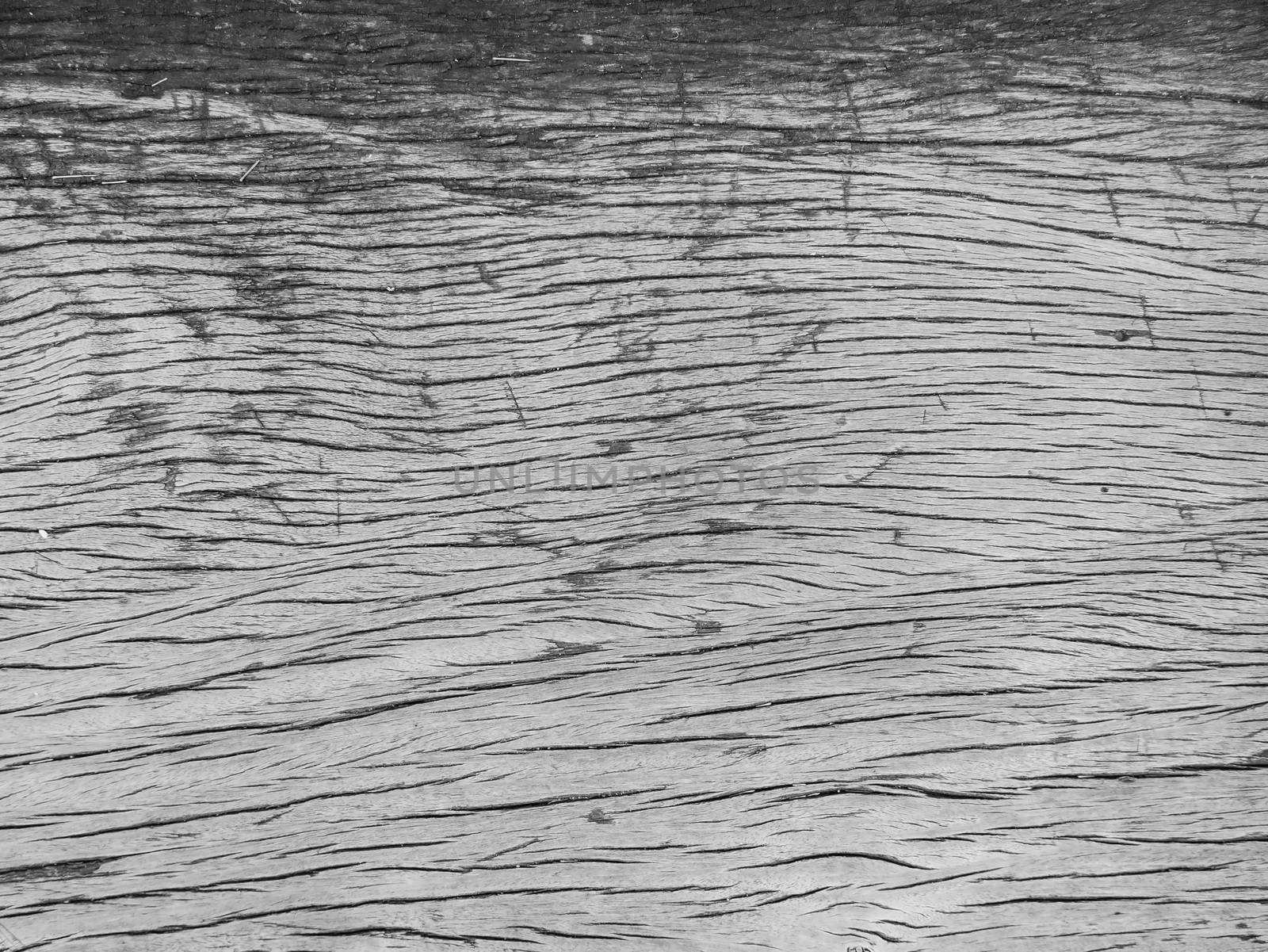 Balck and white color old wood texture background