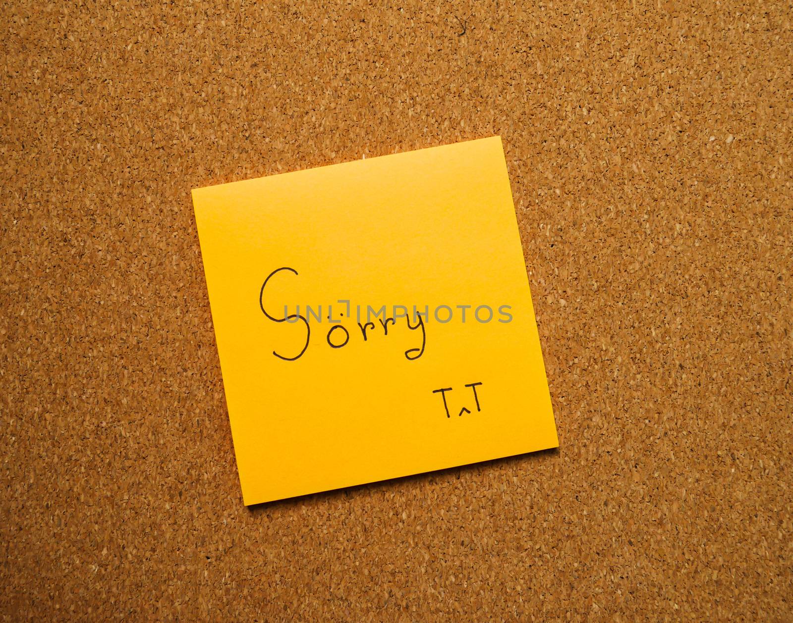 Text sorry and crying face in orange post note attach on wood board
