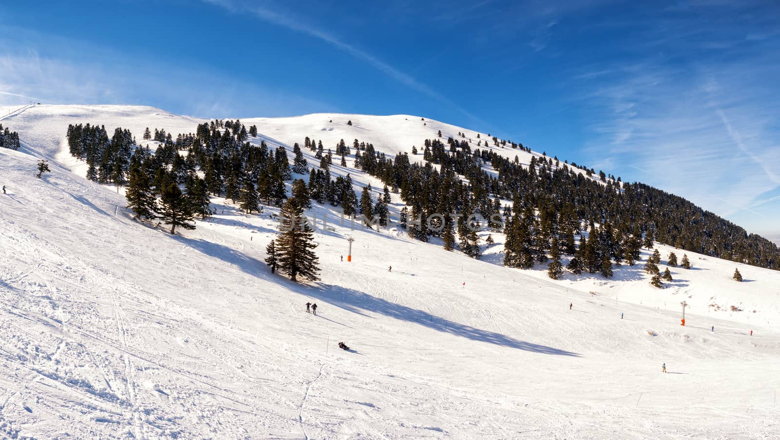 Kalavrita ski resort with trees on a sunny day