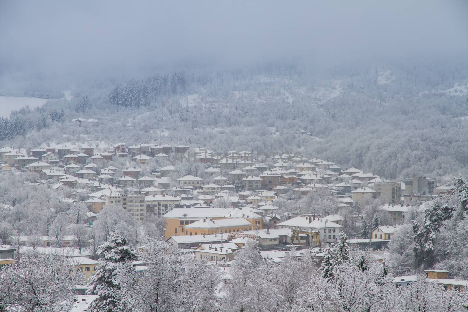 The village Tryavna in winter