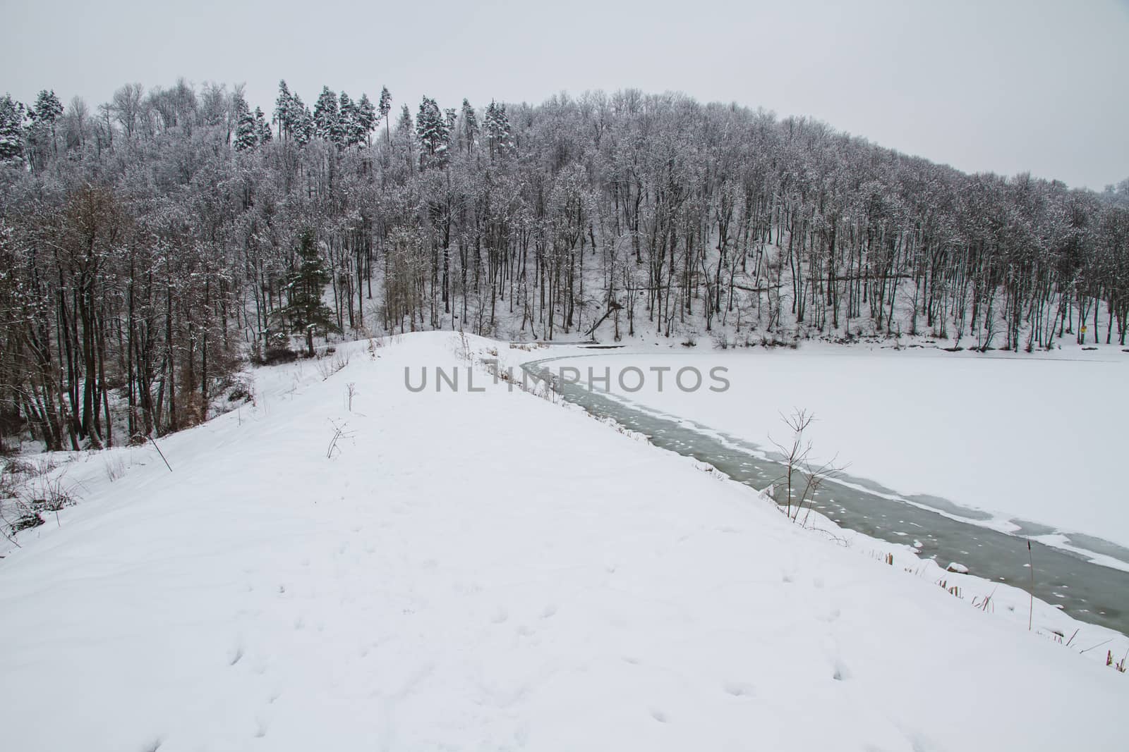 Winter in forest frozen lake