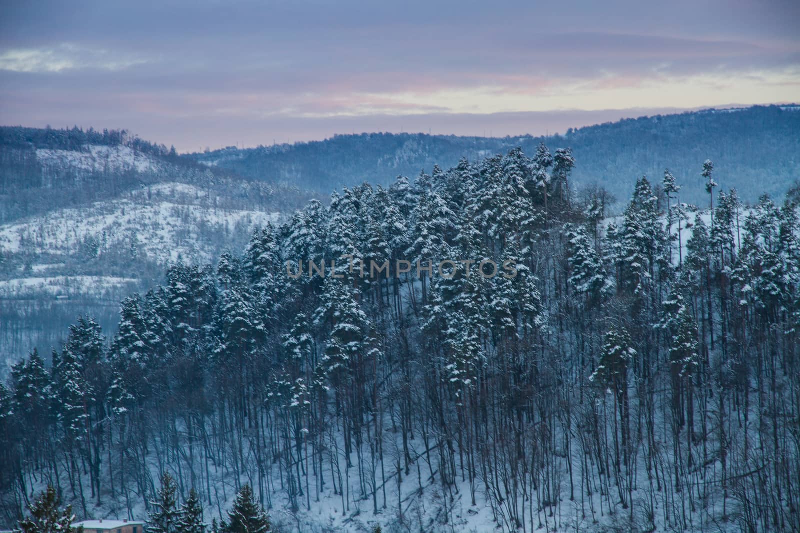 Beautiful winter landscape in the forest. Sunset