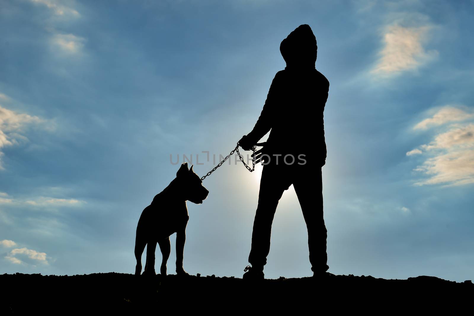 human silhouette walking his dog