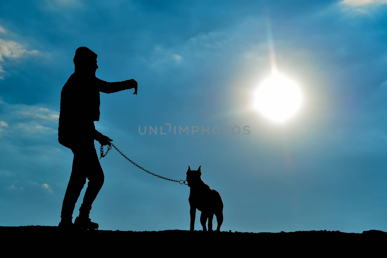 Sunset with dog