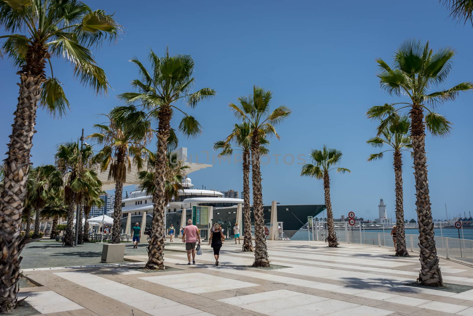 Tall palm trees in front a white lighthouse at Malagueta beach i by ramana16