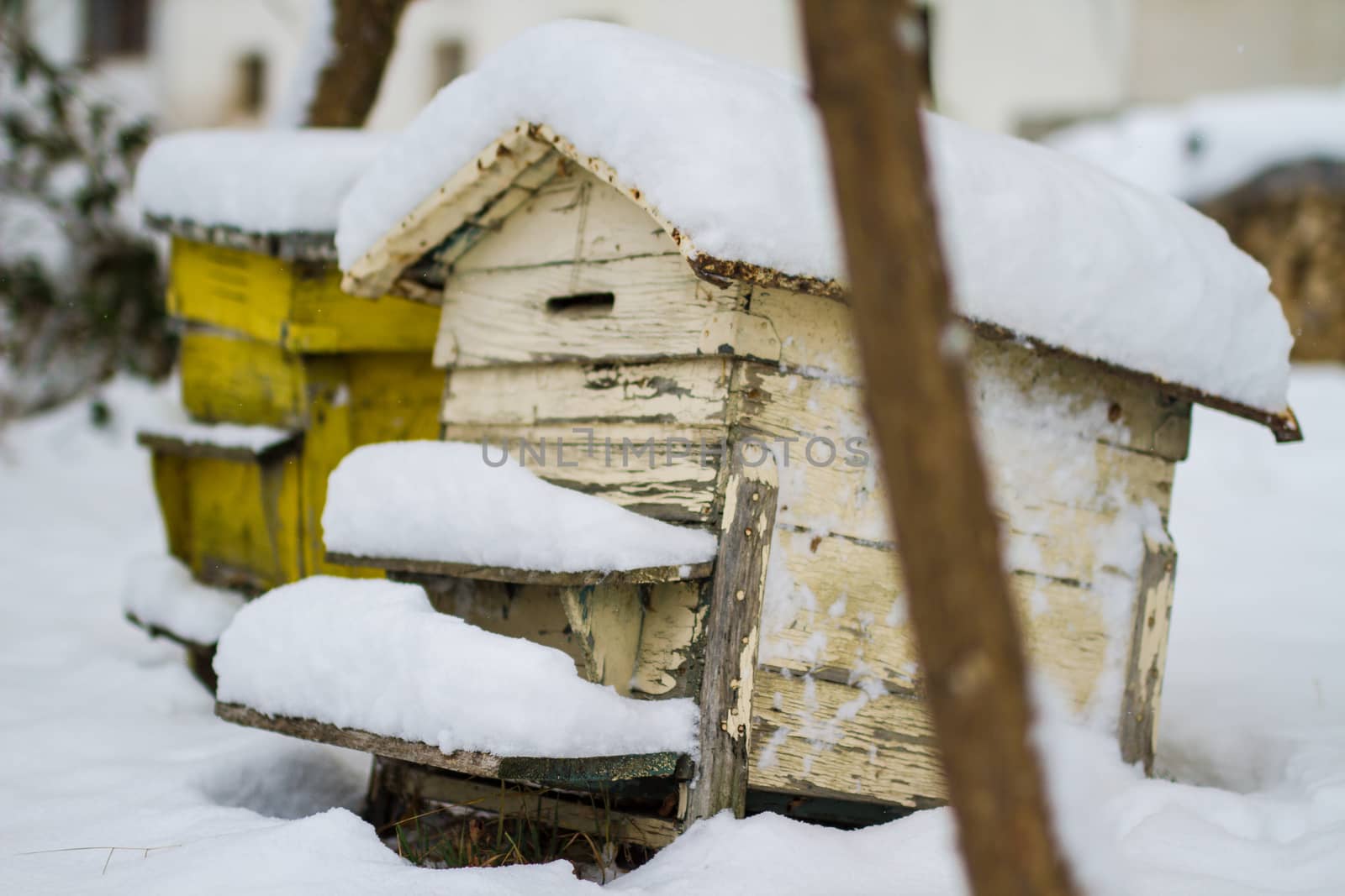 A pair of snow covered bee hives. Apiary in wintertime. Beehives covered with snow in wintertime. Beekeeping by maggee